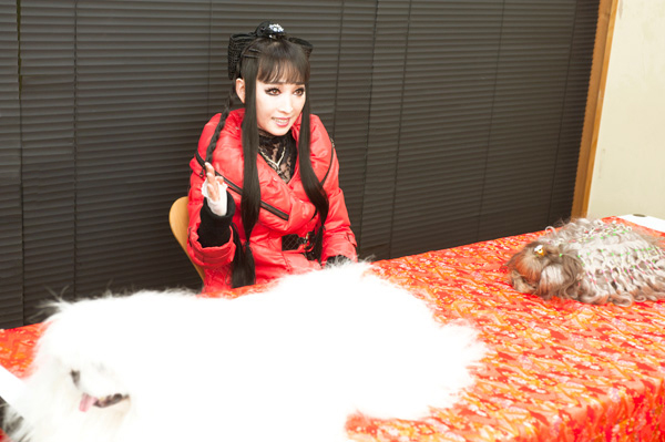 プリンセス天功の愛犬の写真