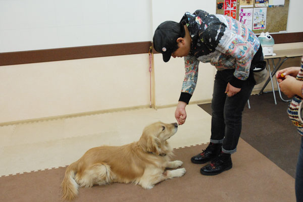 COWCOW善し&愛犬パルのヒールワークの写真