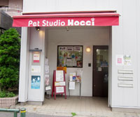 Pet Studio Hocci