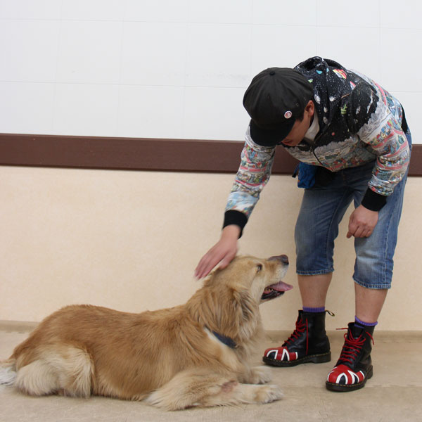 COWCOW善し&愛犬パルのドッグダンストレーニングの写真