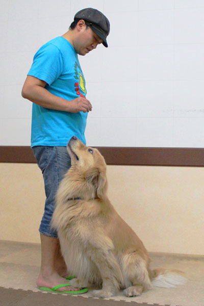 COWCOW善し&愛犬パルの写真