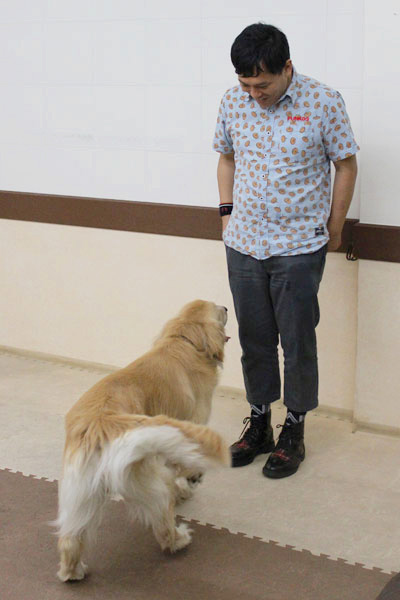 COWCOW善し&愛犬パルの写真
