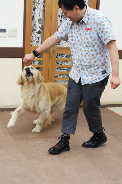 COWCOW善し&愛犬パルの写真